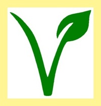 de link tussen vegetarisme en eetstoornissen, vegetarisch, orthorexia