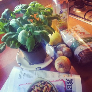 ingredienten