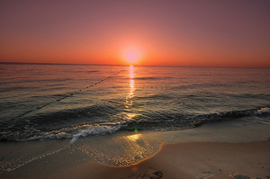 zon