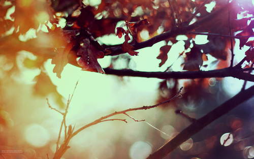herfst