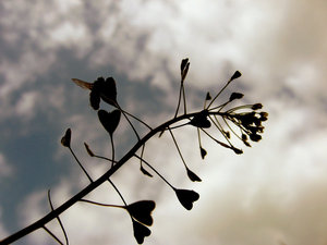 By Sarah