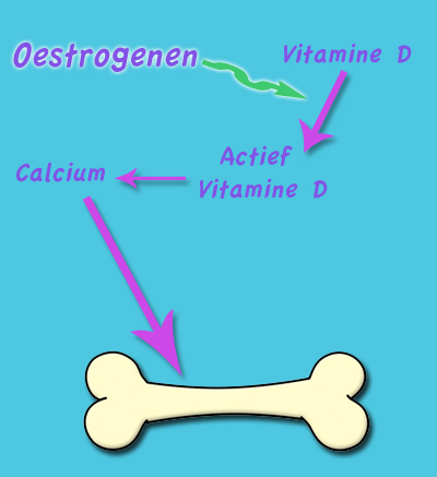 wanneer heb ik ondergewicht